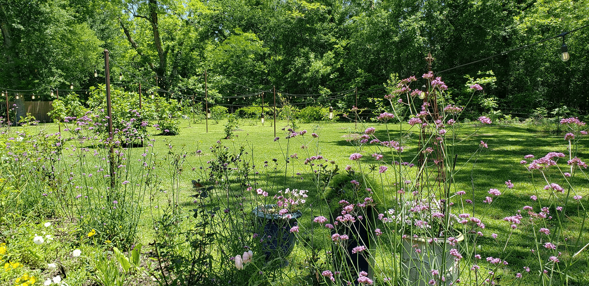 A lush garden filled with colorful flowers and greenery under bright sunlight.